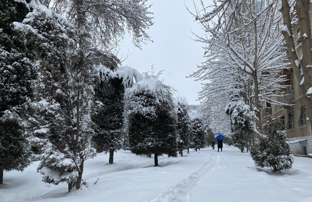 Погода в Айни на неделю